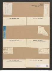 Diatomeae indet. Zeichnungen Sammlung Grunow Nr. 2815 (NHMW-BOT-W0370117)